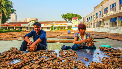 重磅!就在明天!沙井金蠔節(jié)盛大開(kāi)幕!20余項(xiàng)精彩活動(dòng)即將上線!