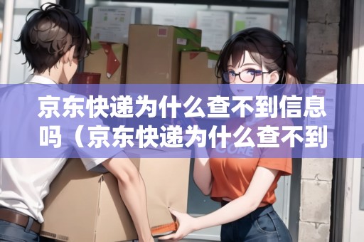 京東快遞查不到物流信息？服務器租賃或許是關鍵原因